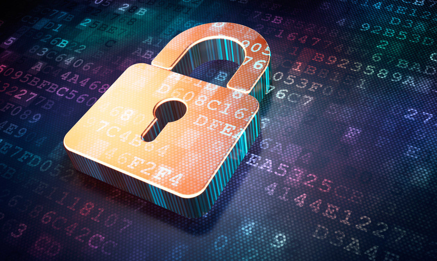 Privacy Officer e Consulente della Privacy